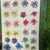Pressed gypsy Flower - 24 in 1 F19