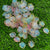 Leafy Flower for decoration - Multi colour