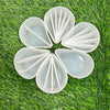 Pouring Cup - Set of 6