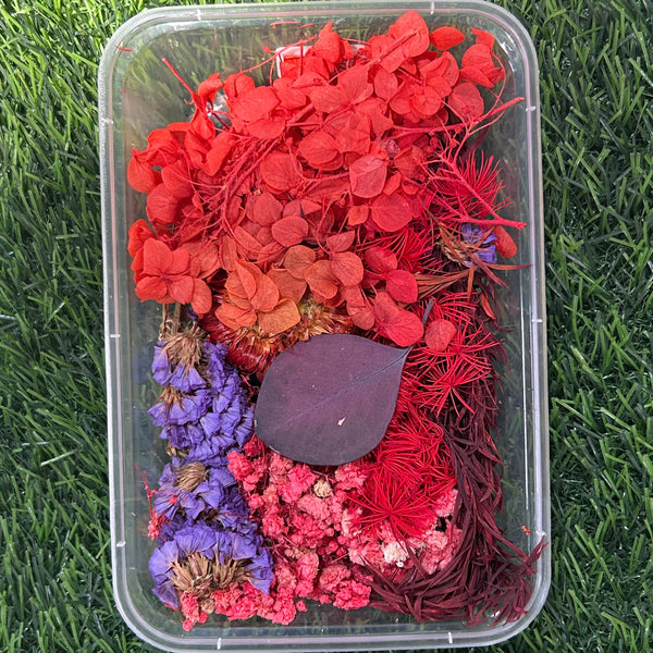 Dried flower Box - Red Theme