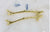 Stem Metal Handle - Gold