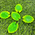 Lotus Leaf - Set of 5 Miniatures