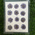 12 in 1 pressed flower - Dark VioletF6