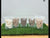 Sea shells mixed - 500 gms