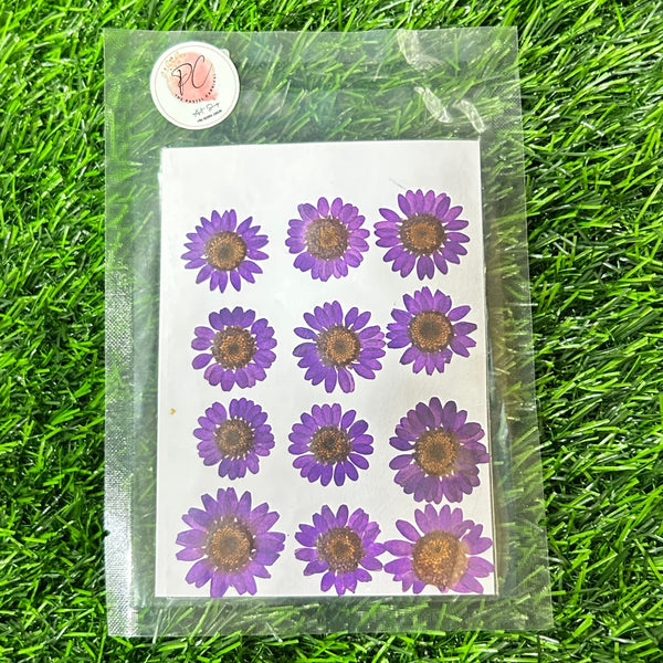 12 in 1 pressed flower - Purple F6