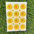 Daisy flowers UV DTF Sticker - Yellow