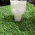 Tulip Bouquet Mould