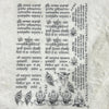 Insert A4 sheet Shlok - INS9