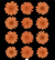 12 in 1 pressed flower - Orange F6