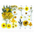 25 in 1 Pressed Flower Yellow- F15