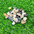 Pebbles- 200 GMS