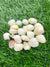 Natural Sea Shells - A