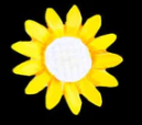 3D DaisyMould - 7 CVT